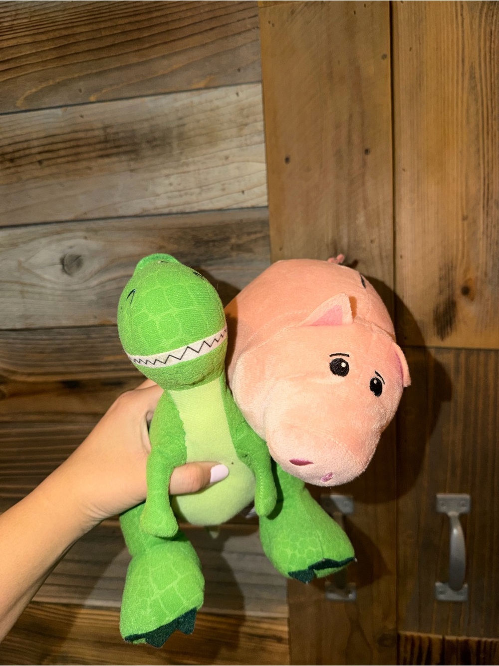Plush Toy Story set - Hamm & Rex